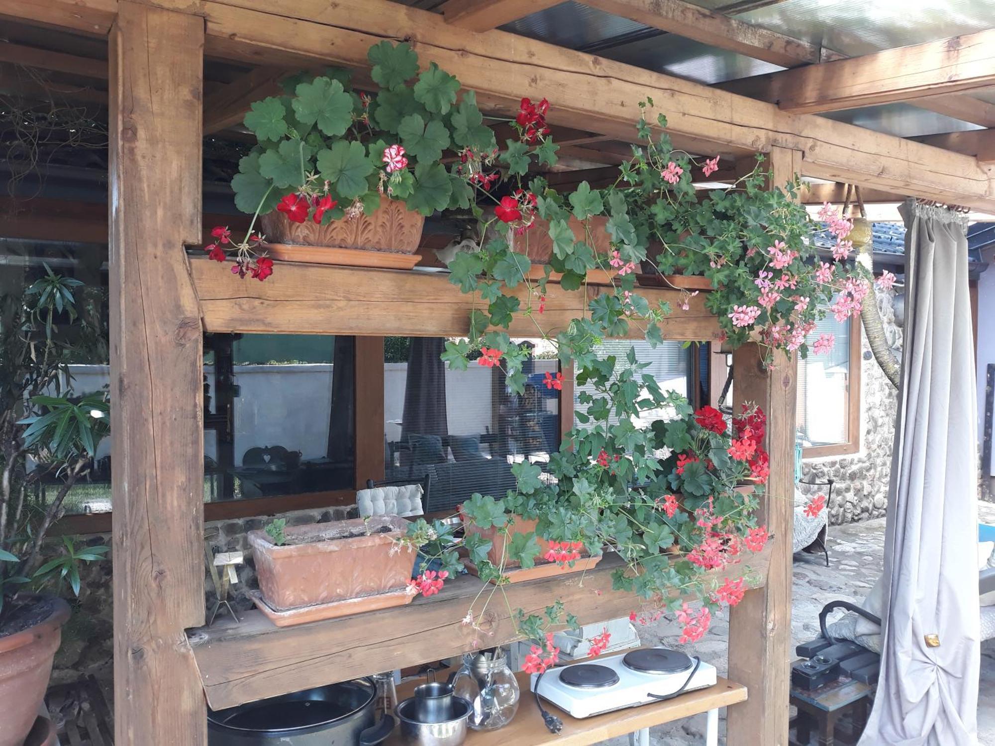 Rose Room 40M2 With Terrace 25M2 In Greeny Area For 4 Person ليوبليانا المظهر الخارجي الصورة