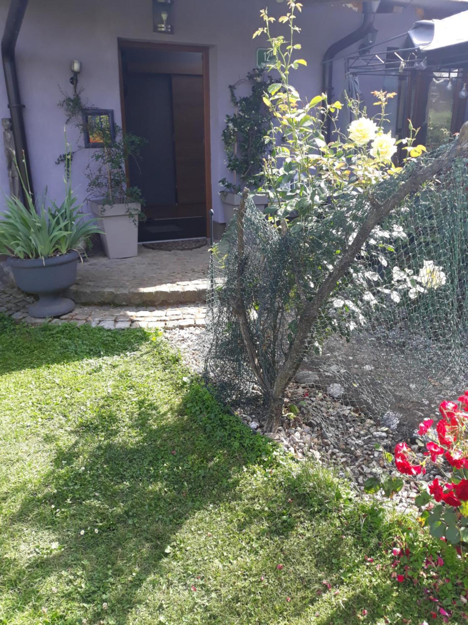 Rose Room 40M2 With Terrace 25M2 In Greeny Area For 4 Person ليوبليانا المظهر الخارجي الصورة