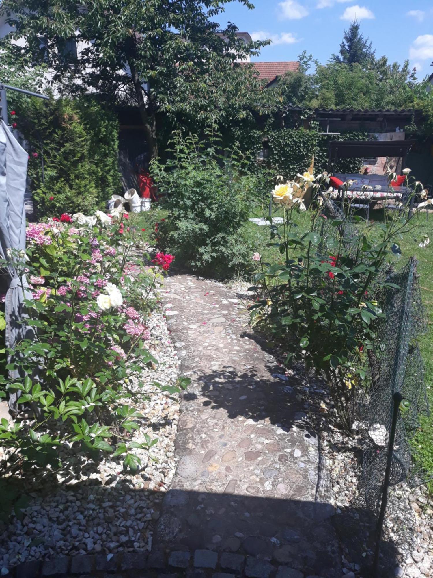 Rose Room 40M2 With Terrace 25M2 In Greeny Area For 4 Person ليوبليانا المظهر الخارجي الصورة